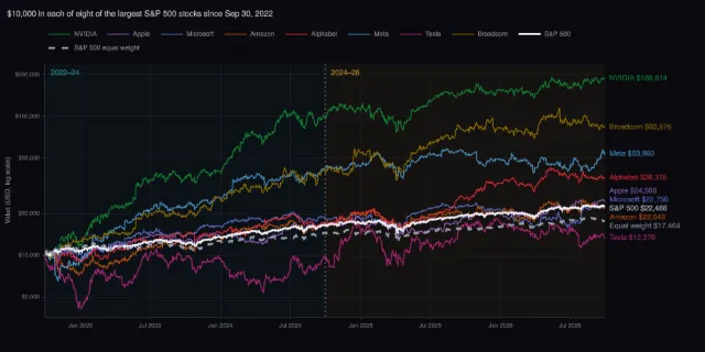 Index funds: eight megacap stocks against the index